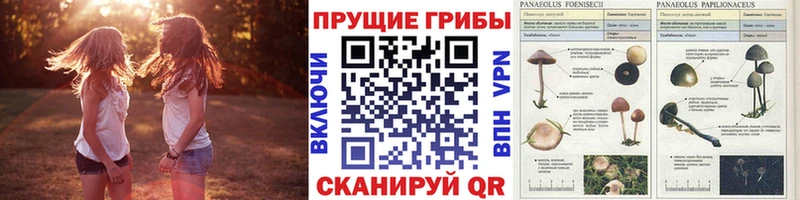 Псилоцибиновые грибы мухоморы  Миасс 