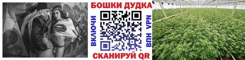 omg сайт Миасс Каннабис планчик